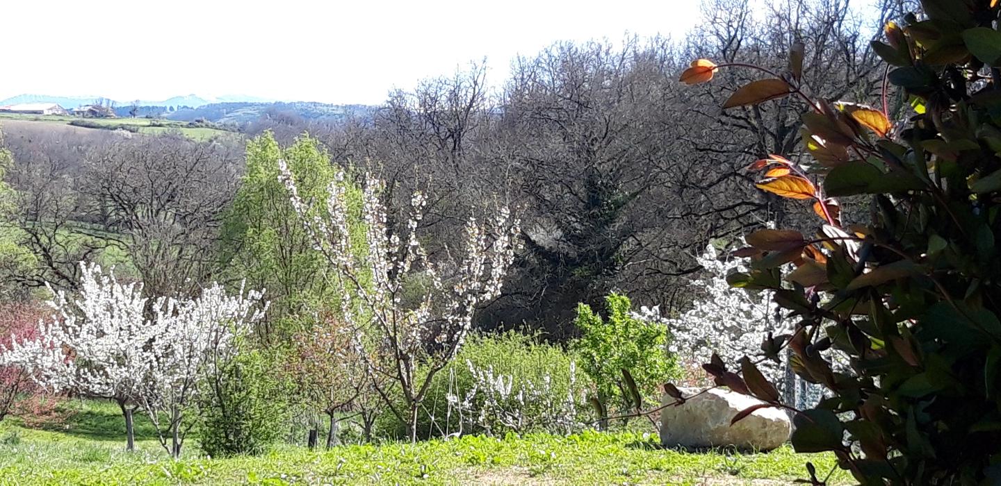 Hôte GreenGo: Roulotte cocooning en Ariège - Image 5