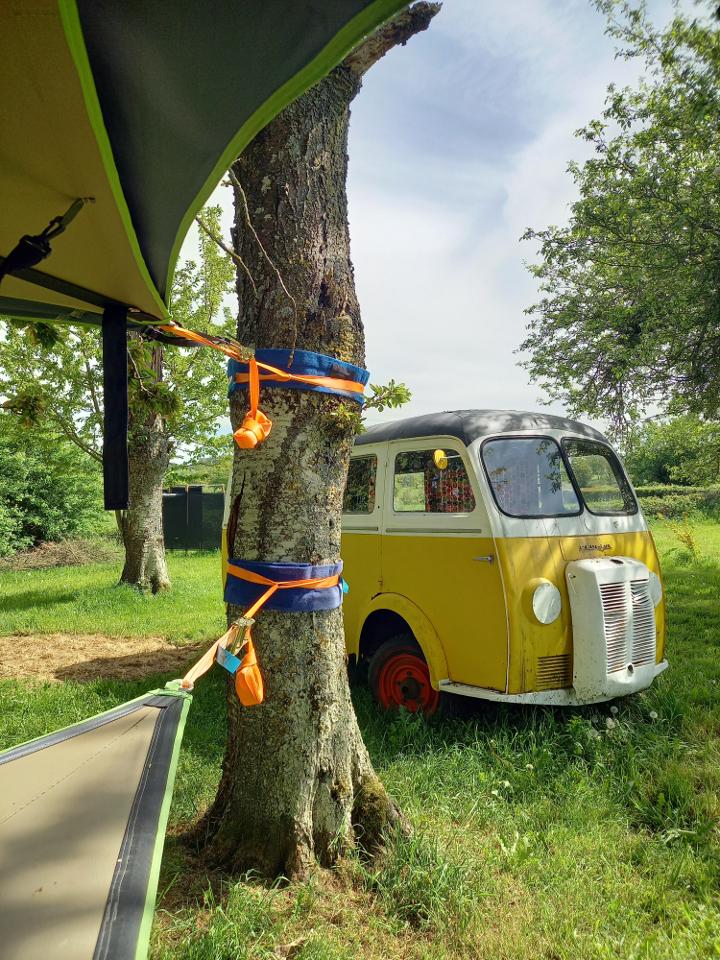 Logement GreenGo: Bus soleil avec une tente dans les arbres et une tente cocoon - Image 12
