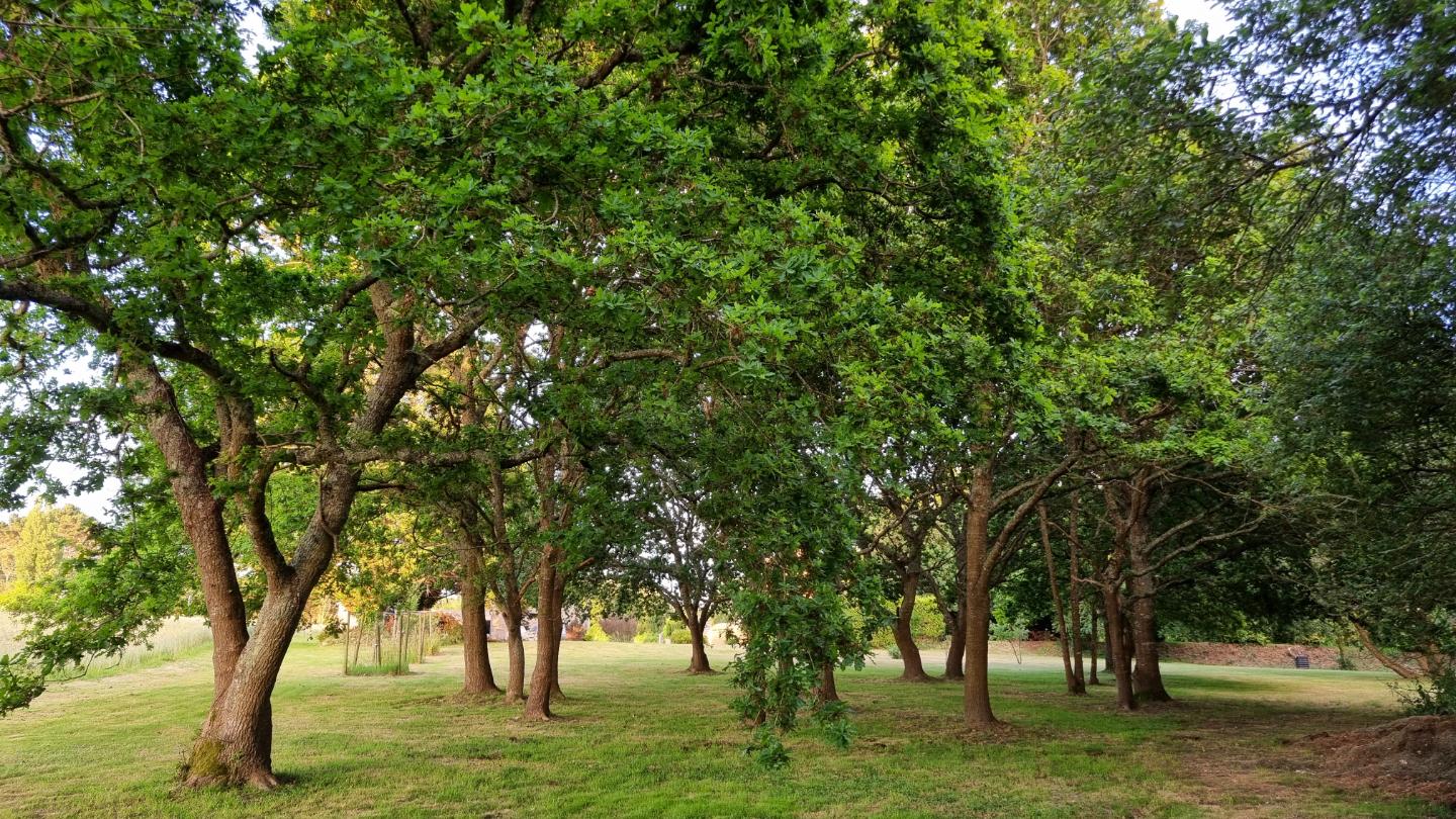 GreenGo location vacances écoresponsables