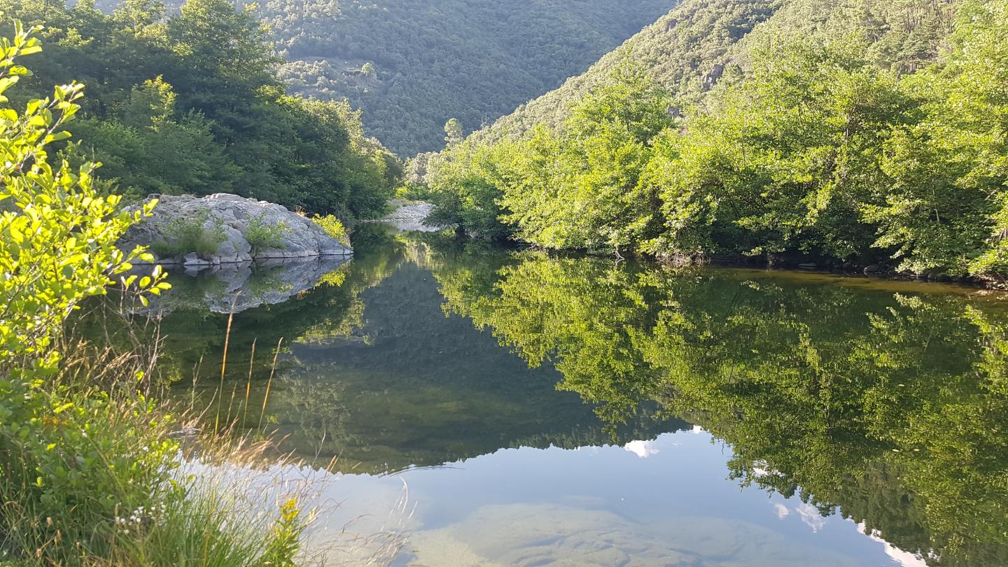Hôte GreenGo: Petit refuge perché dans la forêt des Monts d'Ardèche - Image 16