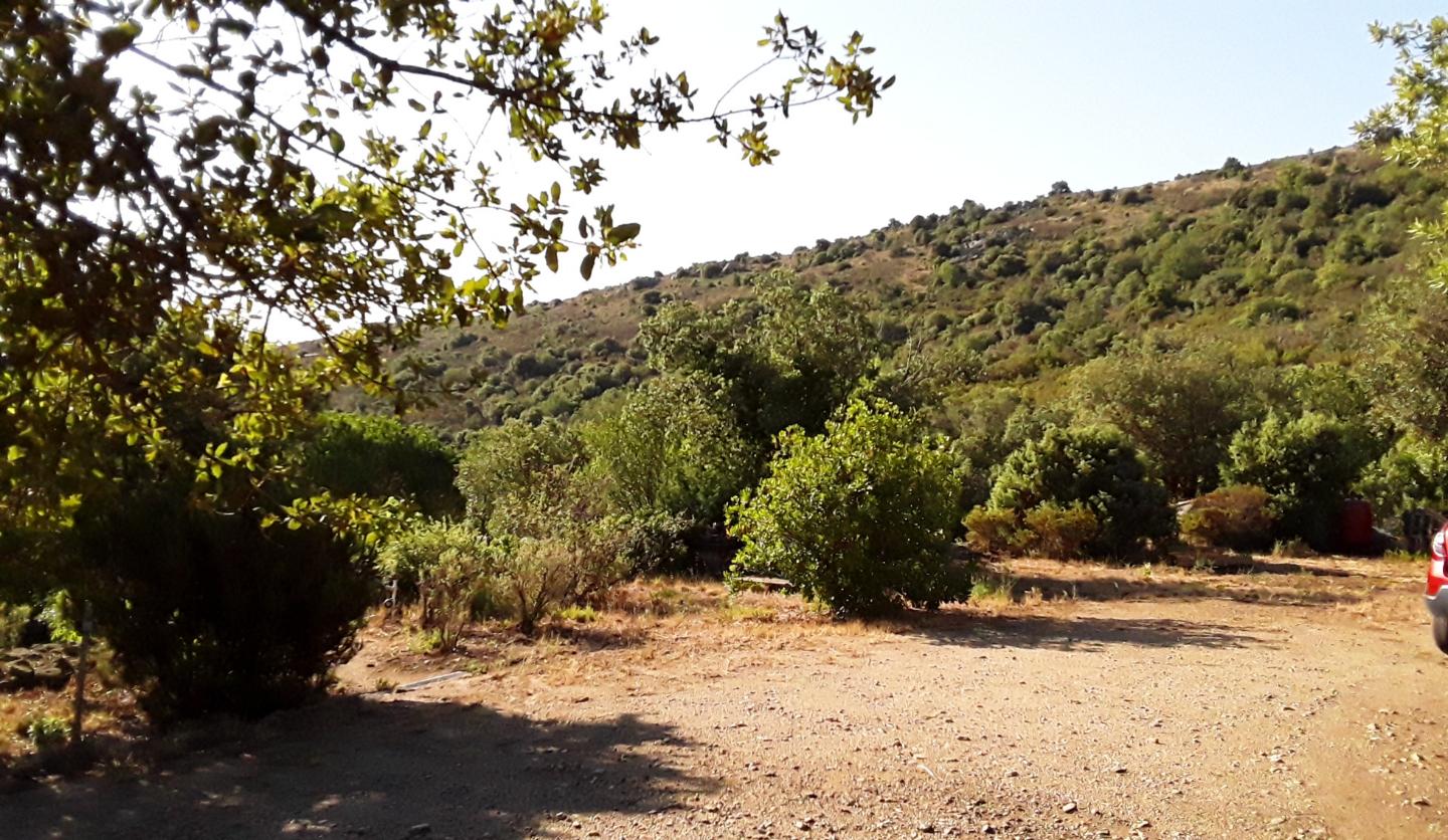 Hôte GreenGo: Bergerie dans l'arrière pays Catalan - Image 13