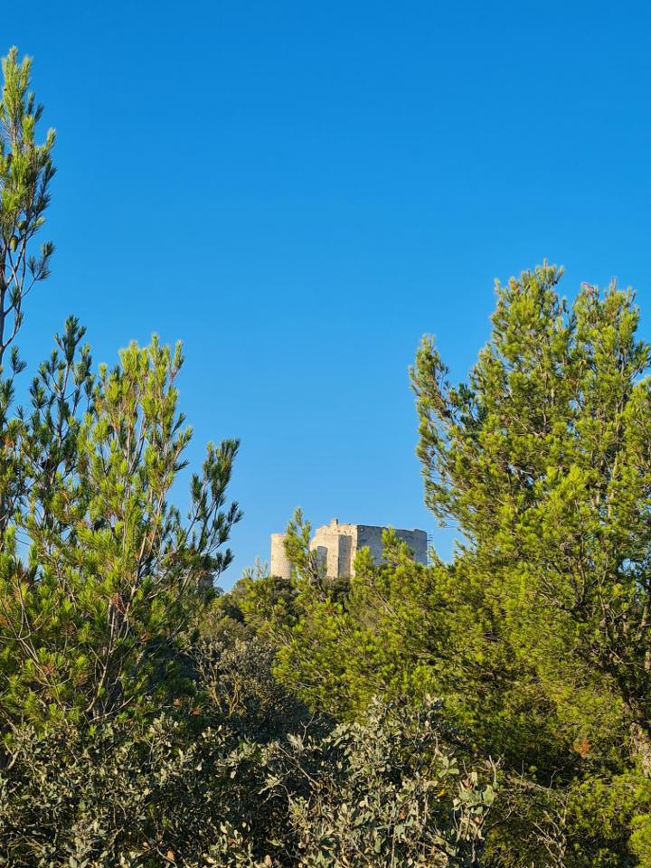 Hôte GreenGo: La Maison du Coeurisier - Image 18