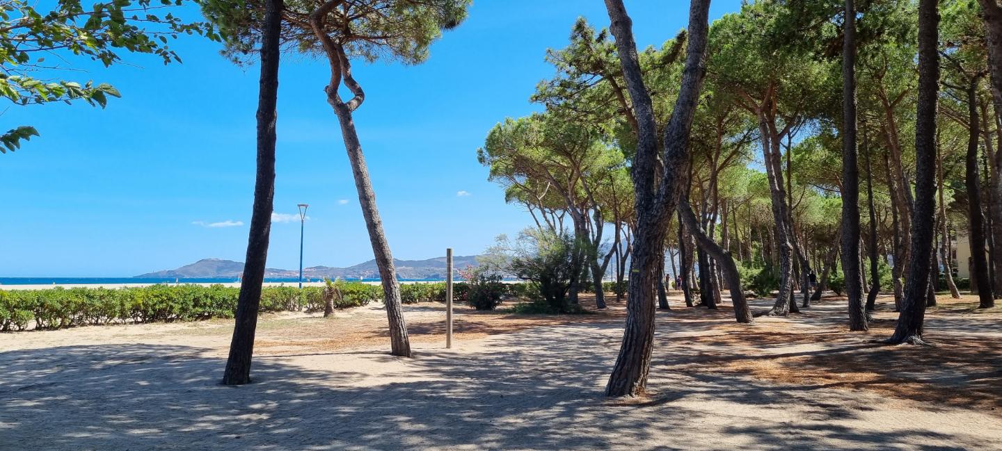 Logement GreenGo: Logement moderne 75m² avec jardin 200m² sur pinède de 2Ha avec piscine à Argeles sur mer - Image 22