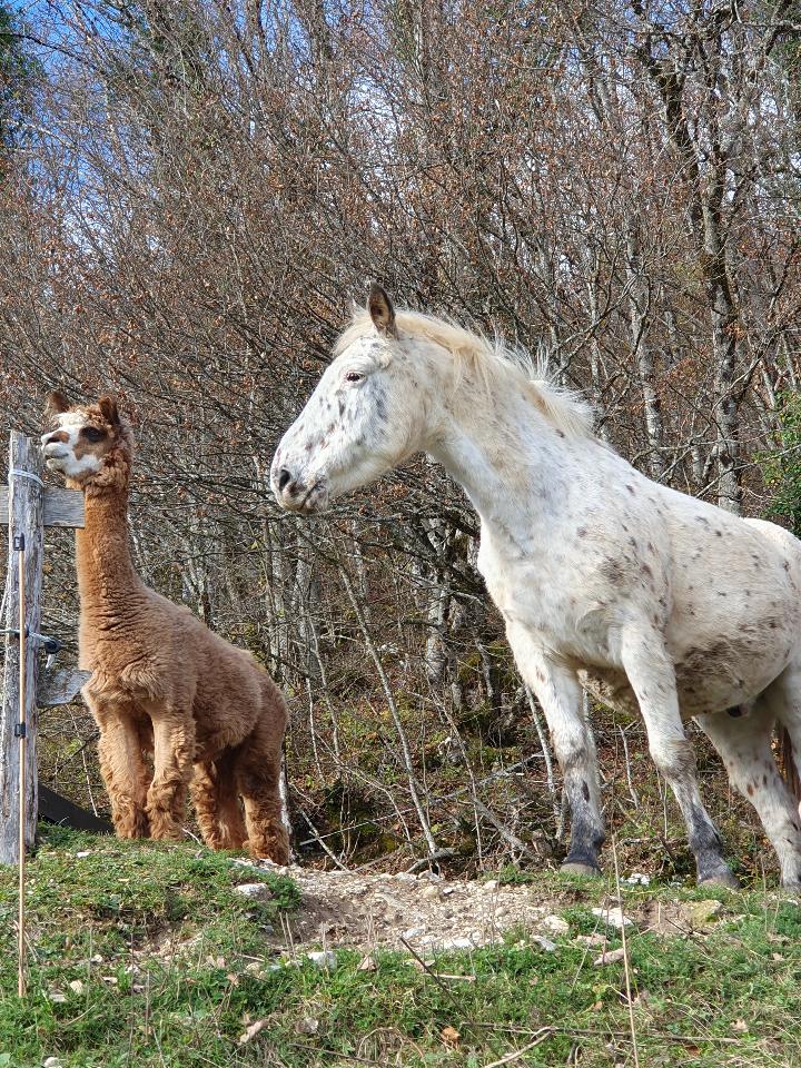  Savoie Haut-de-gamme
