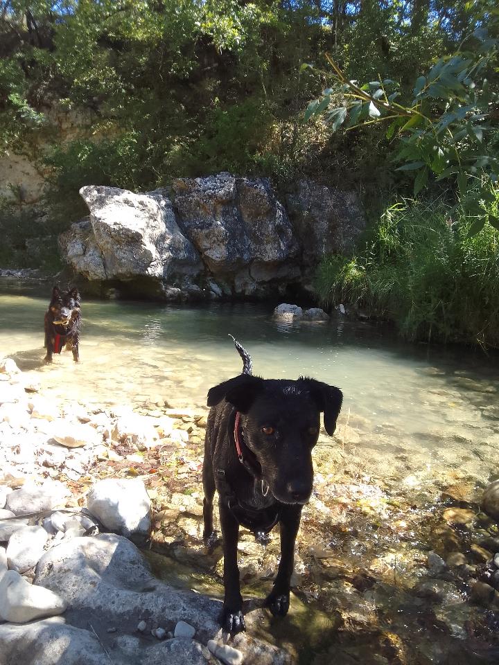 Hôte GreenGo: Les Favouilles : le gîte - Image 58