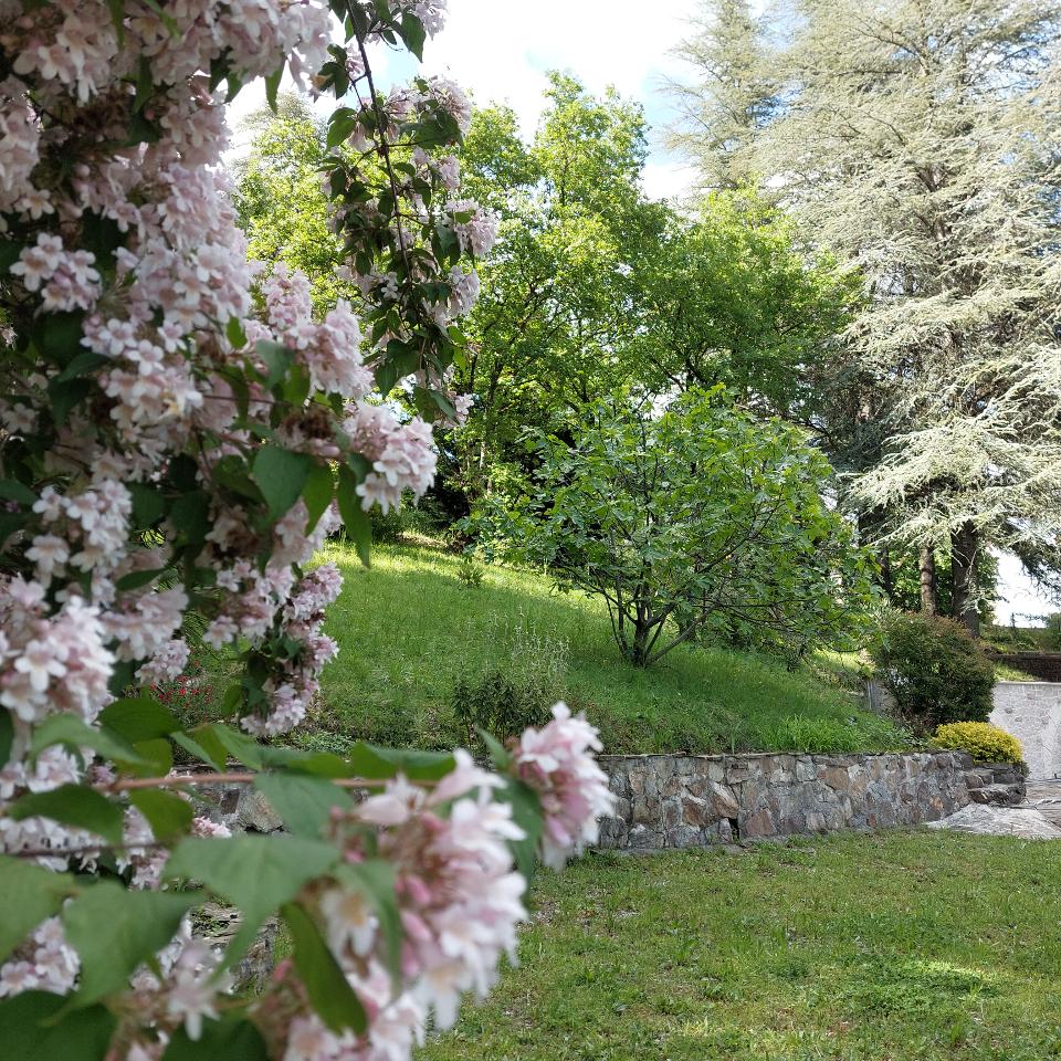 Hôte GreenGo: Gîte villa Les Cèdres en Cevennes avec vue panoramique et piscine chauffée - Image 30