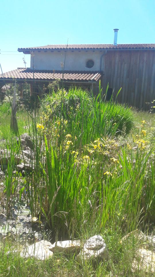 Hôte GreenGo: Maison écologique en paille terre et bois sur grand terrain avec bois privé - Image 8