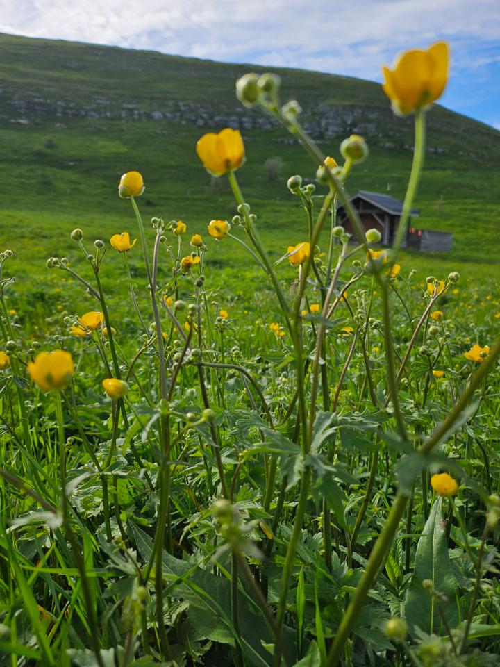 Hôte GreenGo: Gîte le Belvédère - Image 49