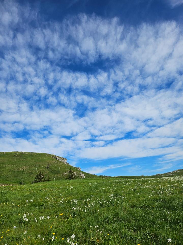 Hôte GreenGo: Gîte le Belvédère - Image 50