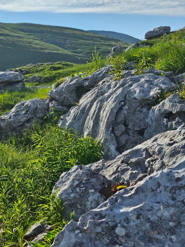 Hôte GreenGo: Gîte le Belvédère - Image 44