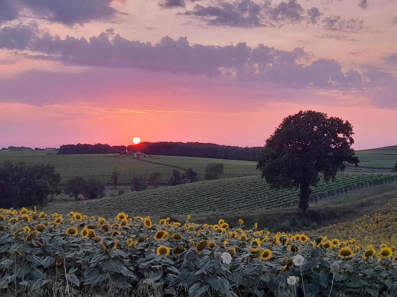 GreenGo Cinq la Voute