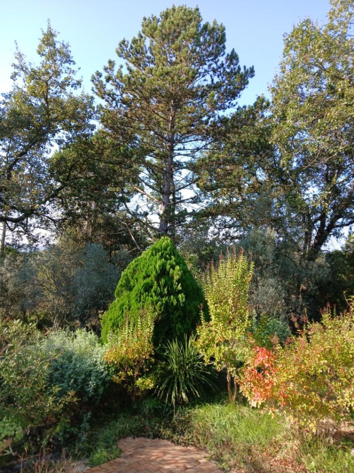 GreenGo Gîte des Garrigues