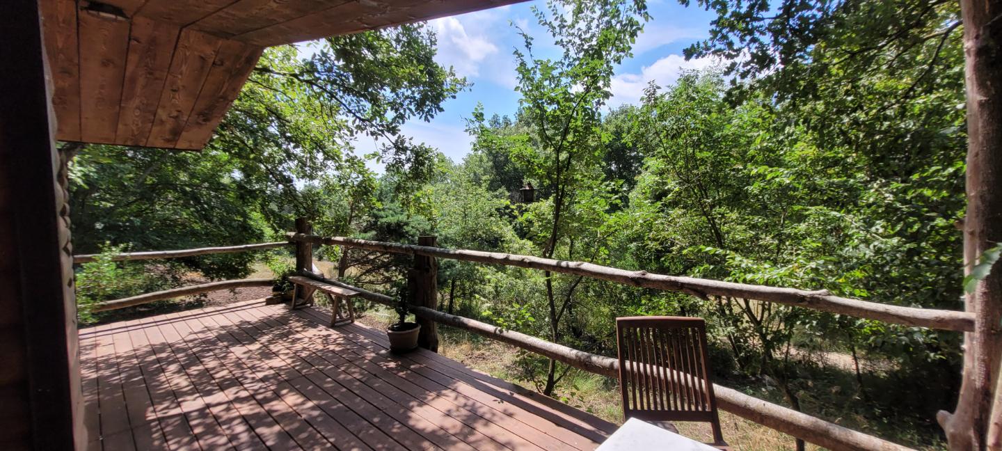 GreenGo location vacances écoresponsables