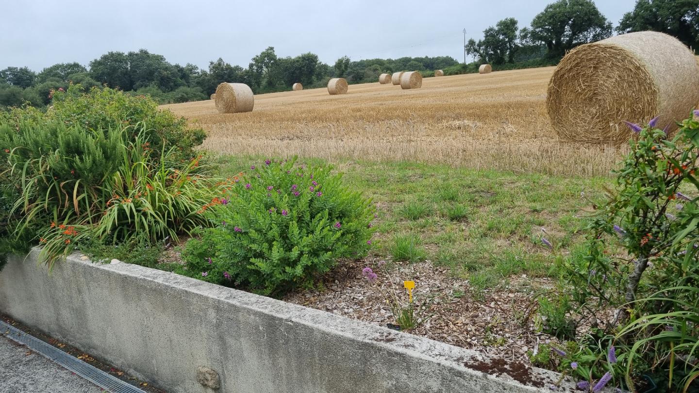 Location Finistère Sportif