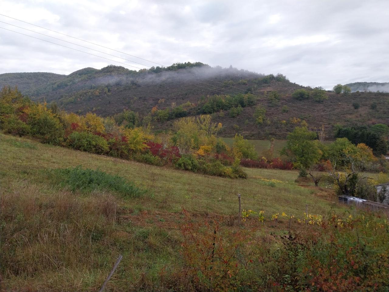 Carte cadeau GreenGo