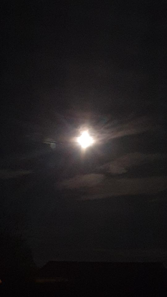 Saône-et-Loire Haut-de-gamme