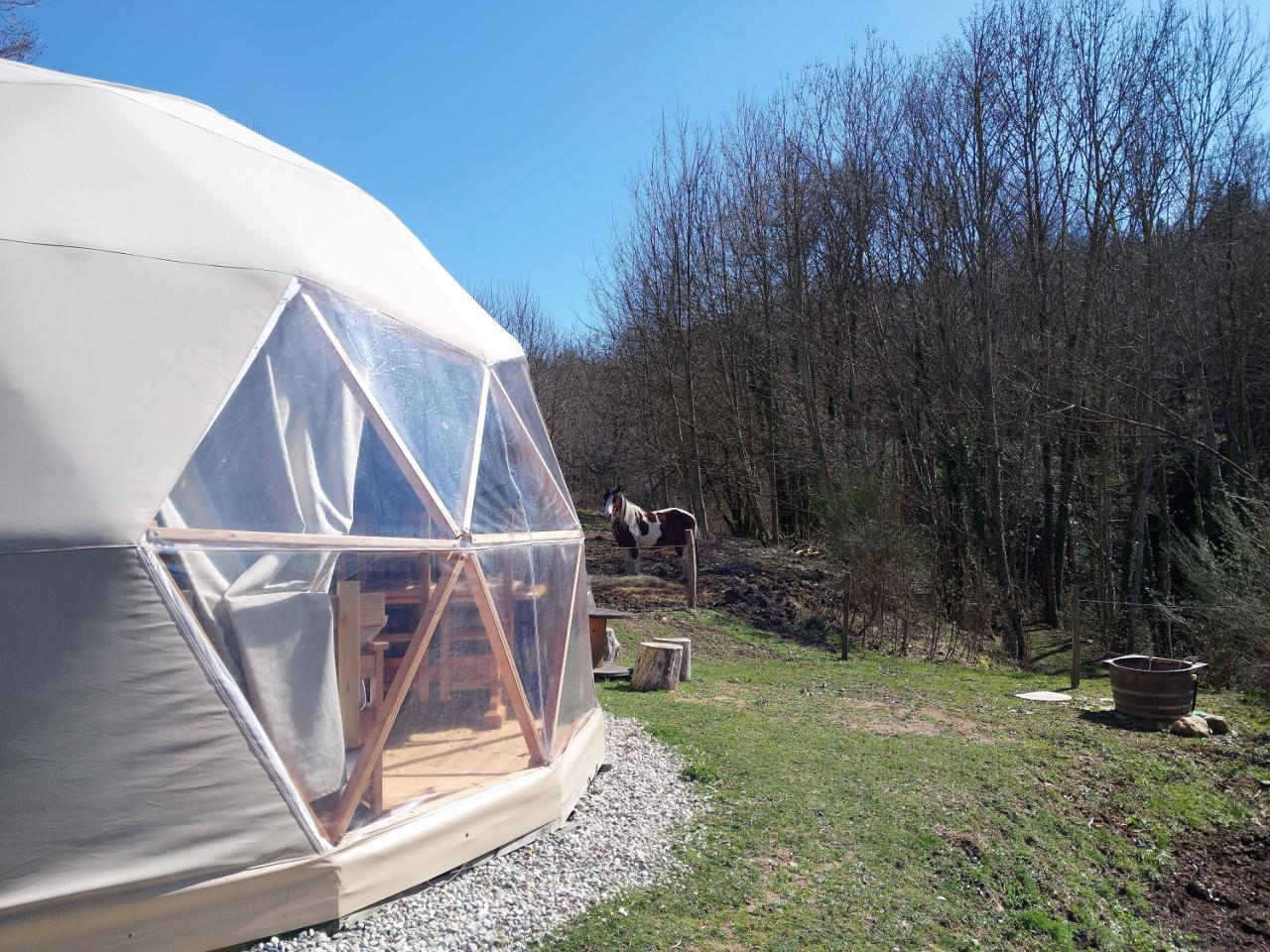 orderedImageAlt_accommodation_default