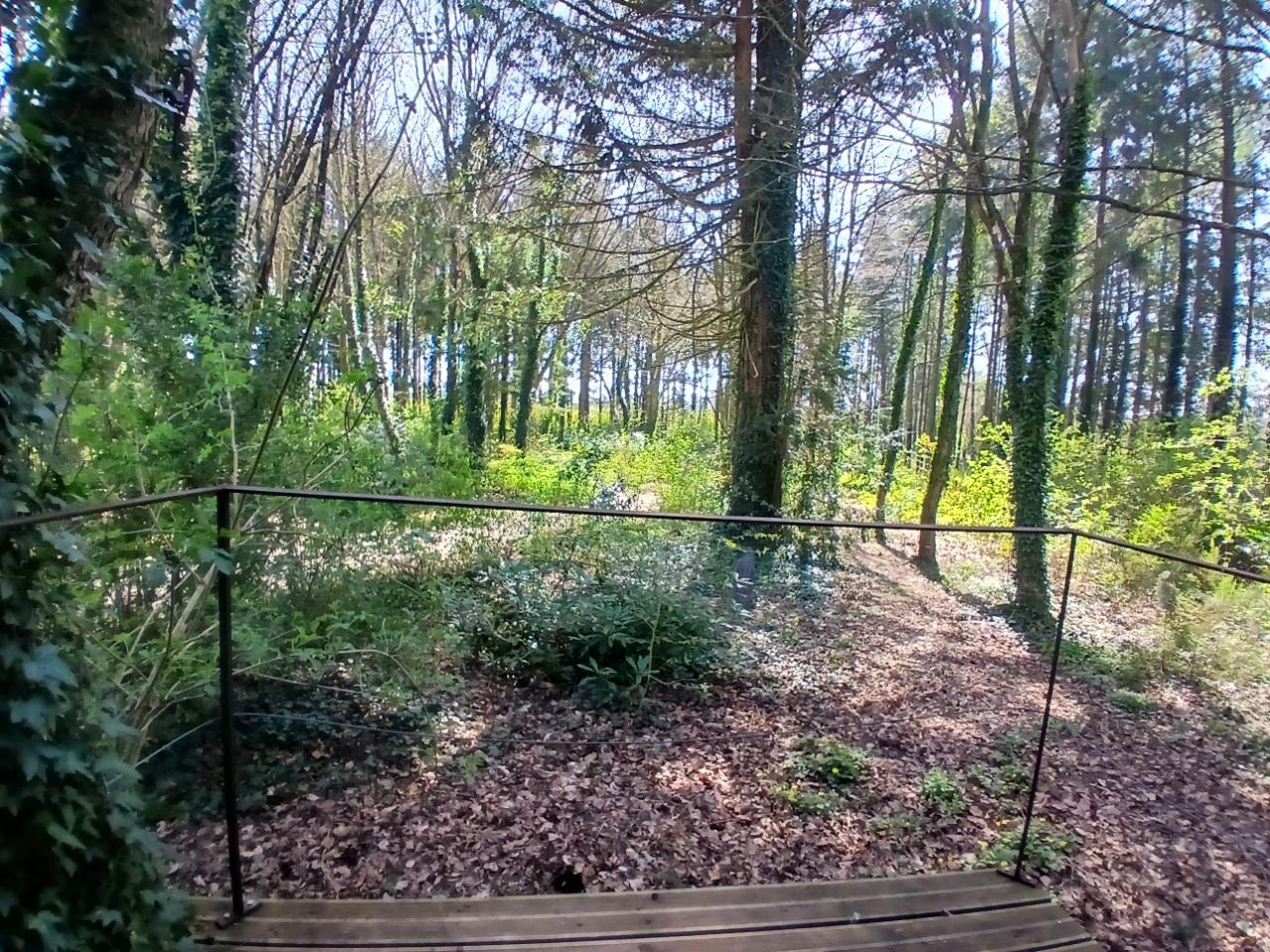 GreenGo Logement insolite Bretagne Bien-être