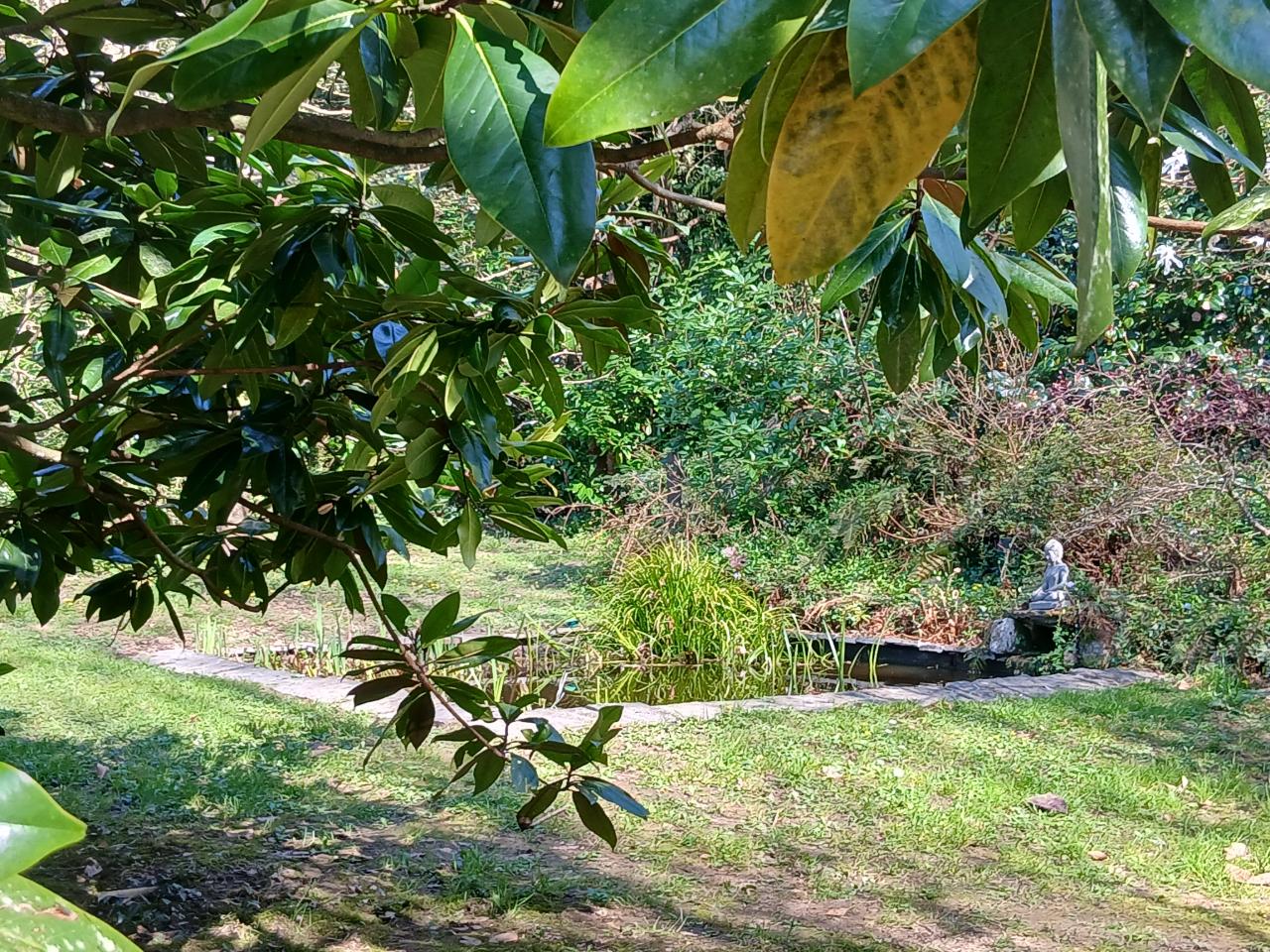 Carte cadeau GreenGo