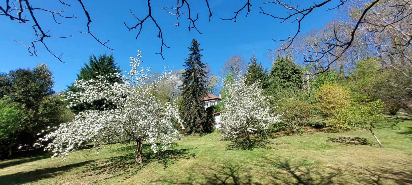 Location Hautes-Pyrénées À la campagne