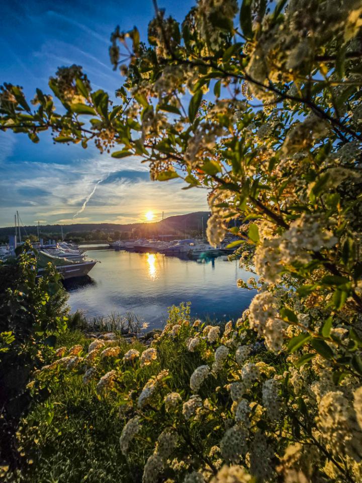 GreenGo Bloomboat, Balnéo, Rooftop 360°, vue Rhône sunset