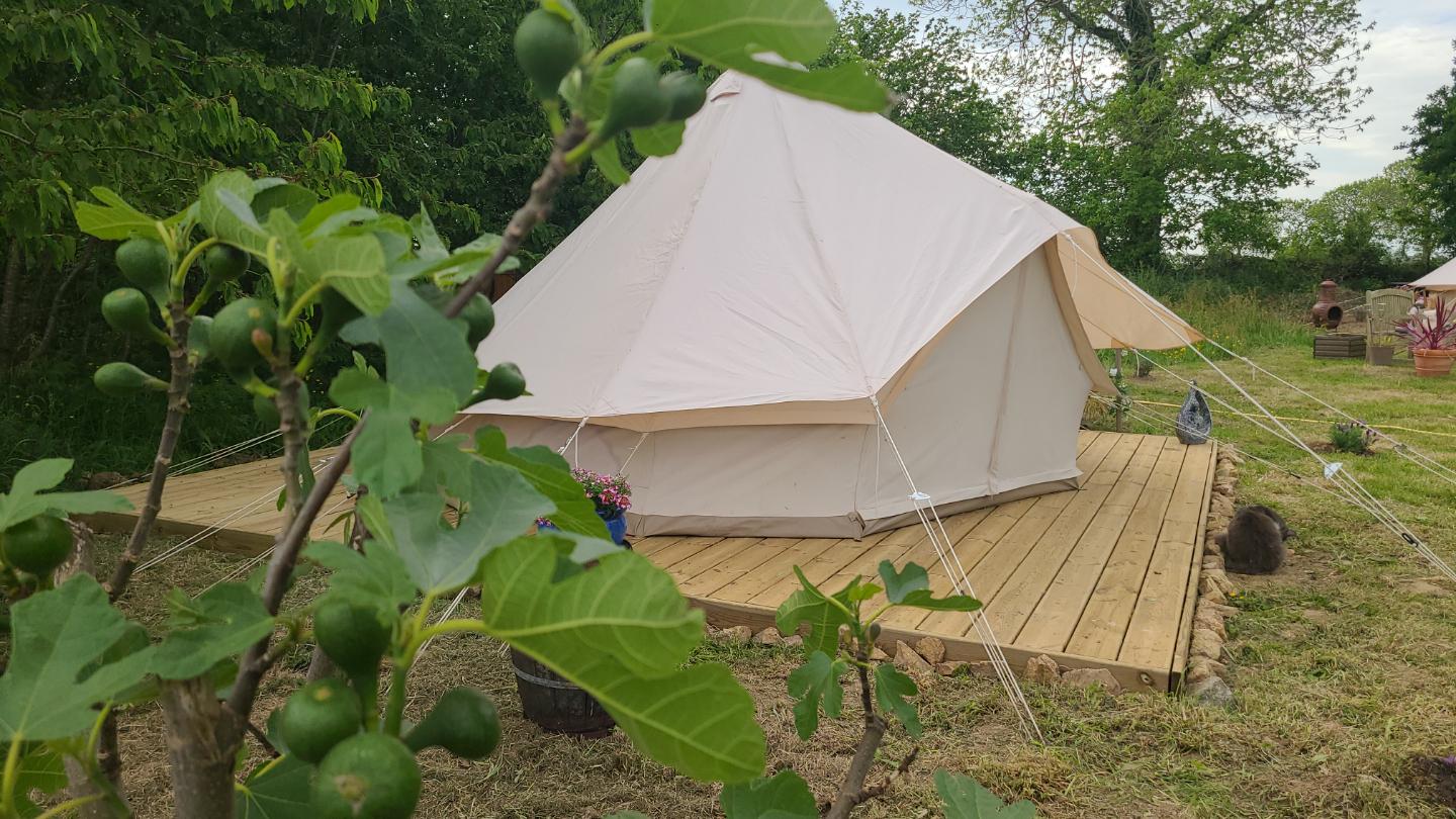 orderedImageAlt_accommodation_default