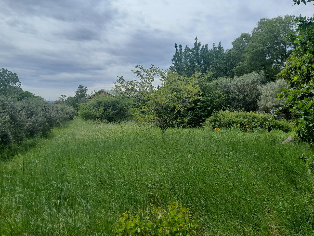 Le planas d'Aspères