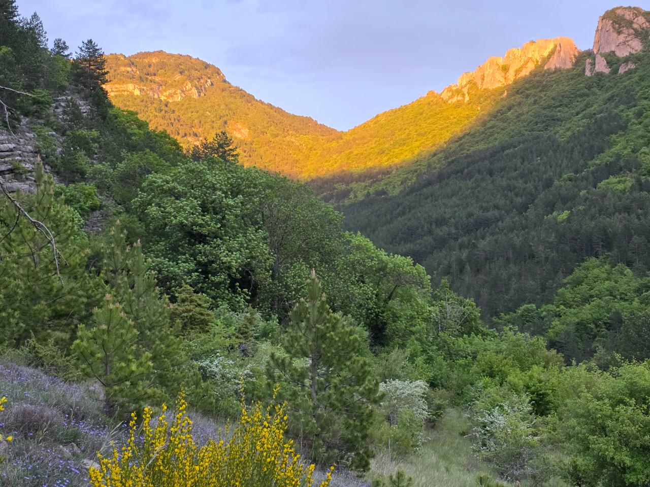GreenGo Location Auvergne-Rhône-Alpes Évasion