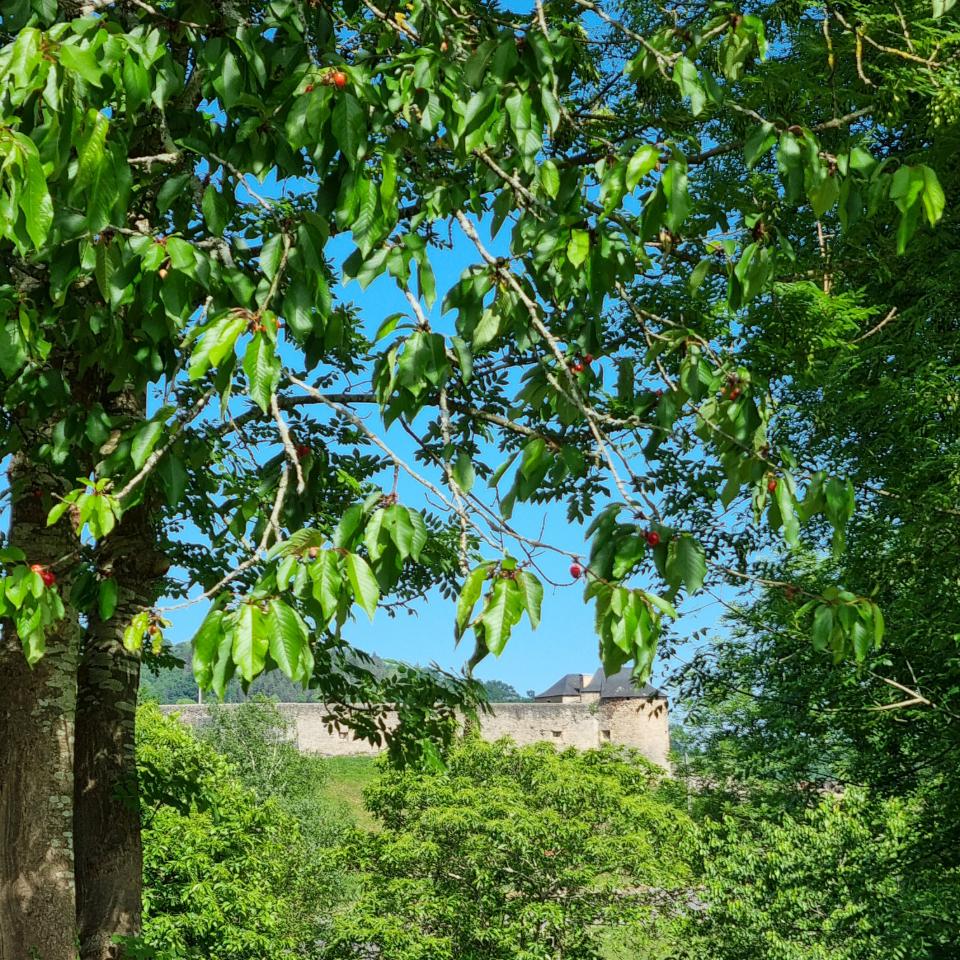 GreenGo Logis Onaïhety