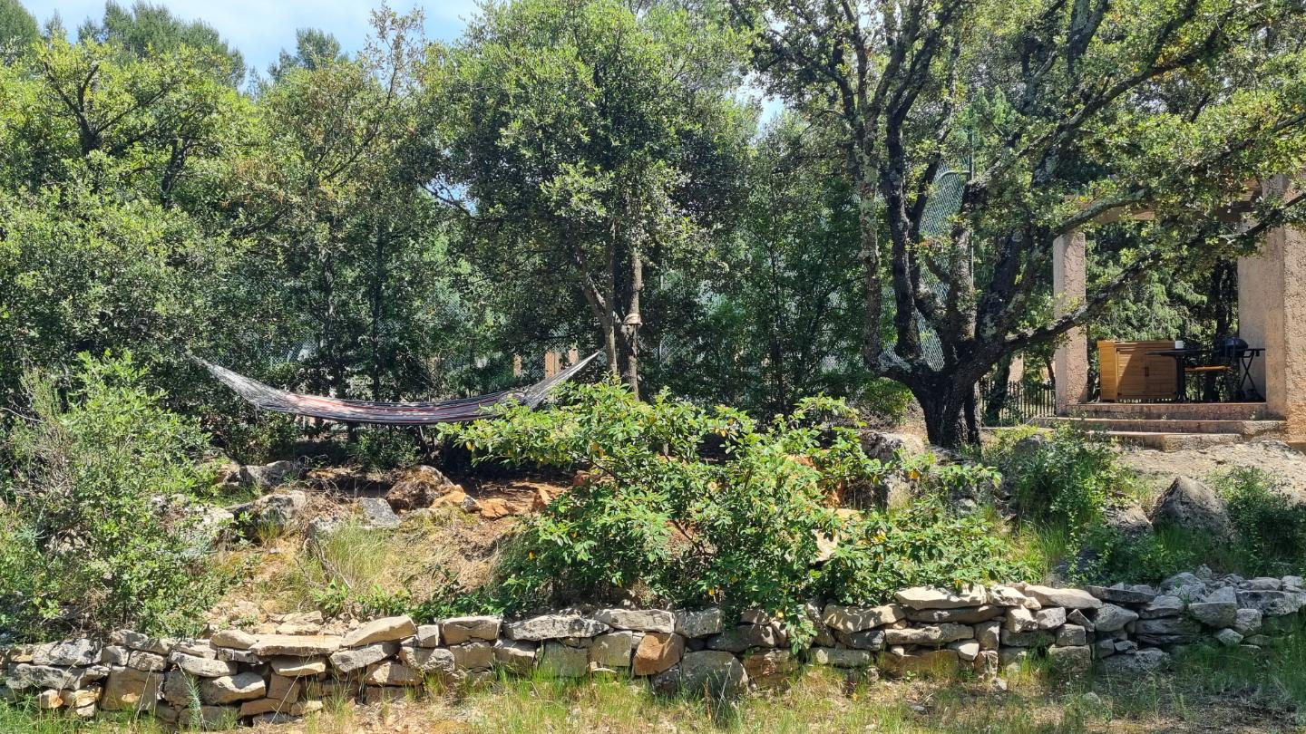 GreenGo L'Instant Forêt - Gîte au calme, en pleine nature avec tennis et chiens acceptés sans supplément