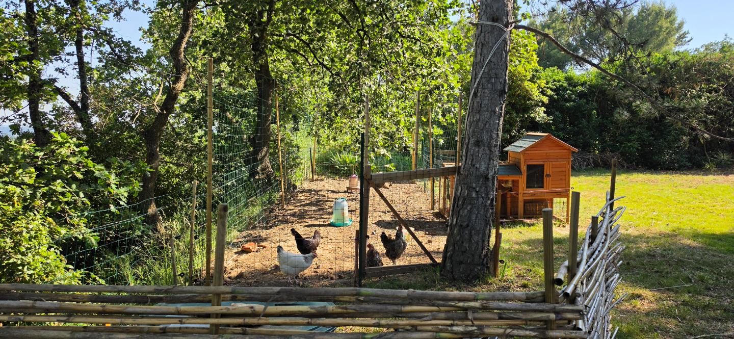 GreenGo location vacances écoresponsables