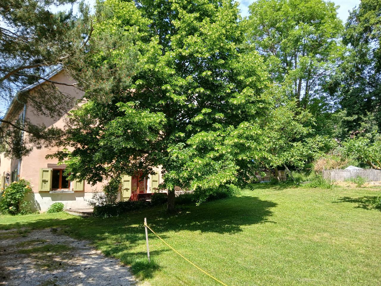 GreenGo La maison des Oiseaux