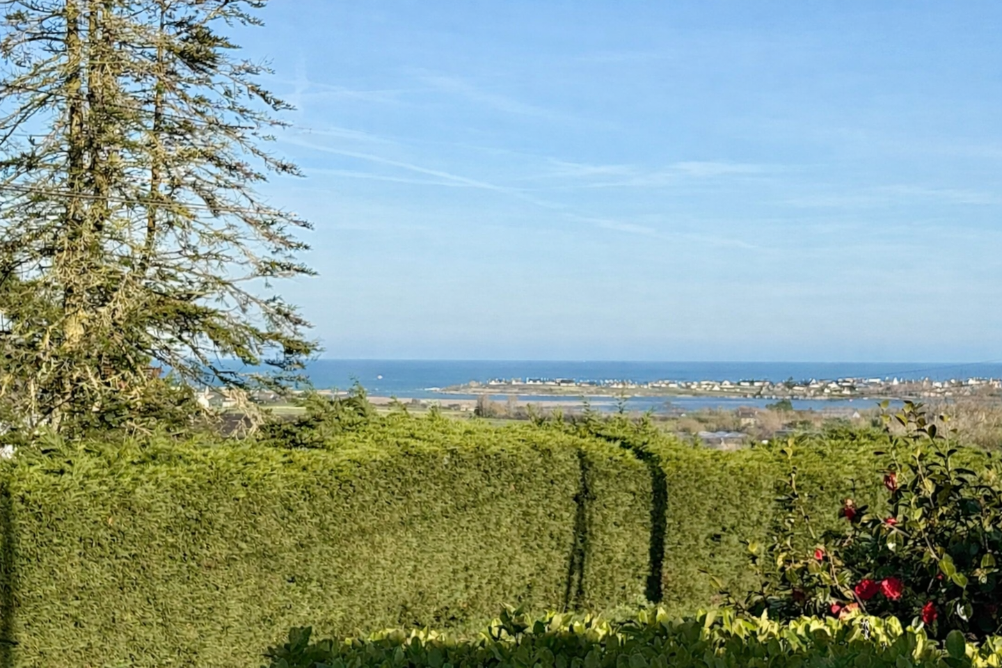 GreenGo Horizon salé - Ty Brennig