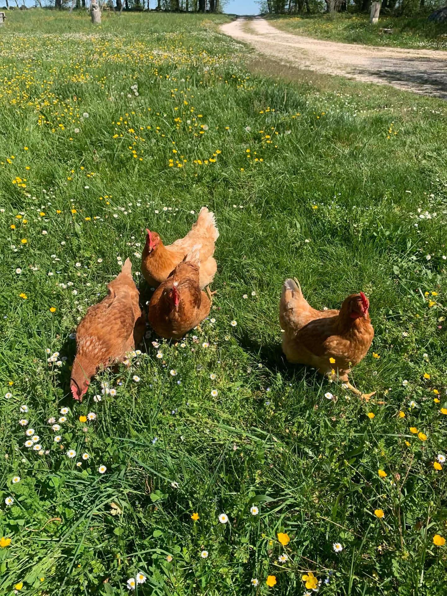  Lot-et-Garonne À la campagne