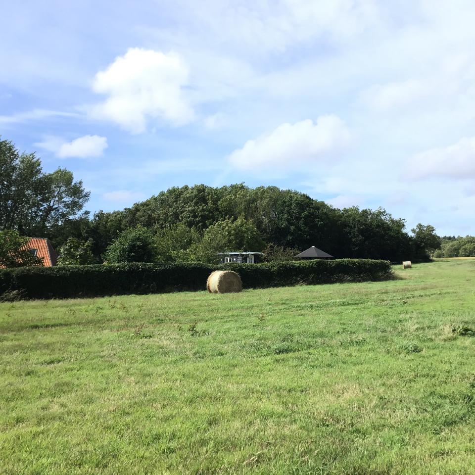 GreenGo Roulotte Reno Beba