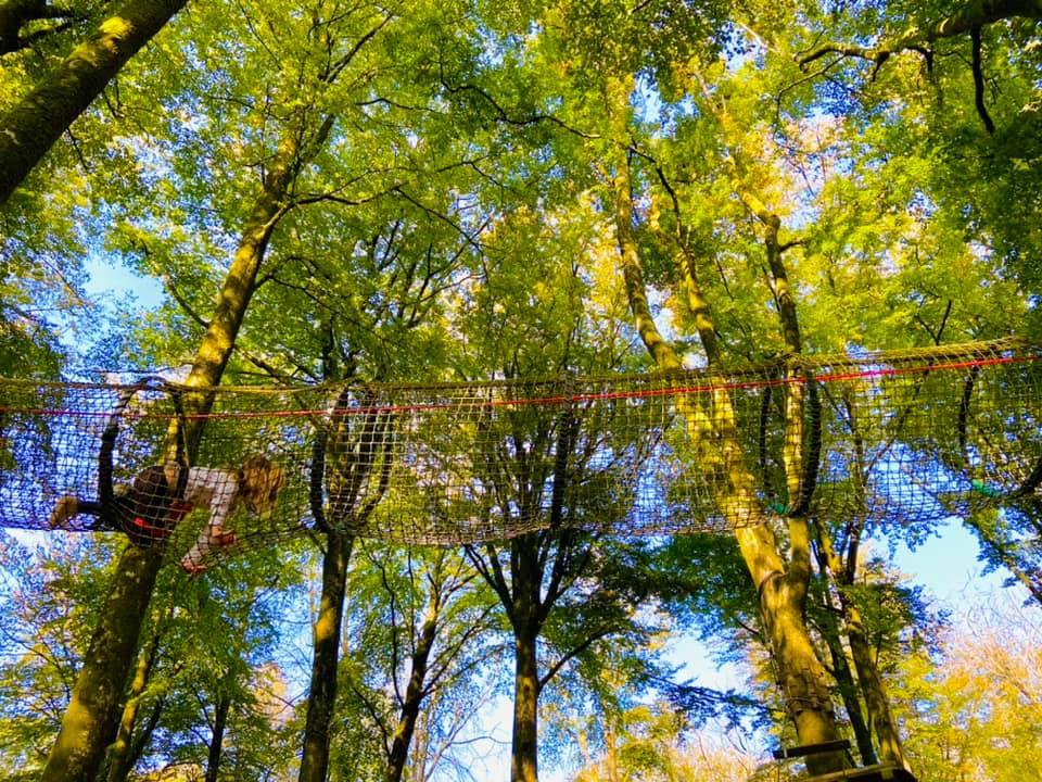 Logement GreenGo: Cabane dans les arbres 9m 5 pers - Image 12