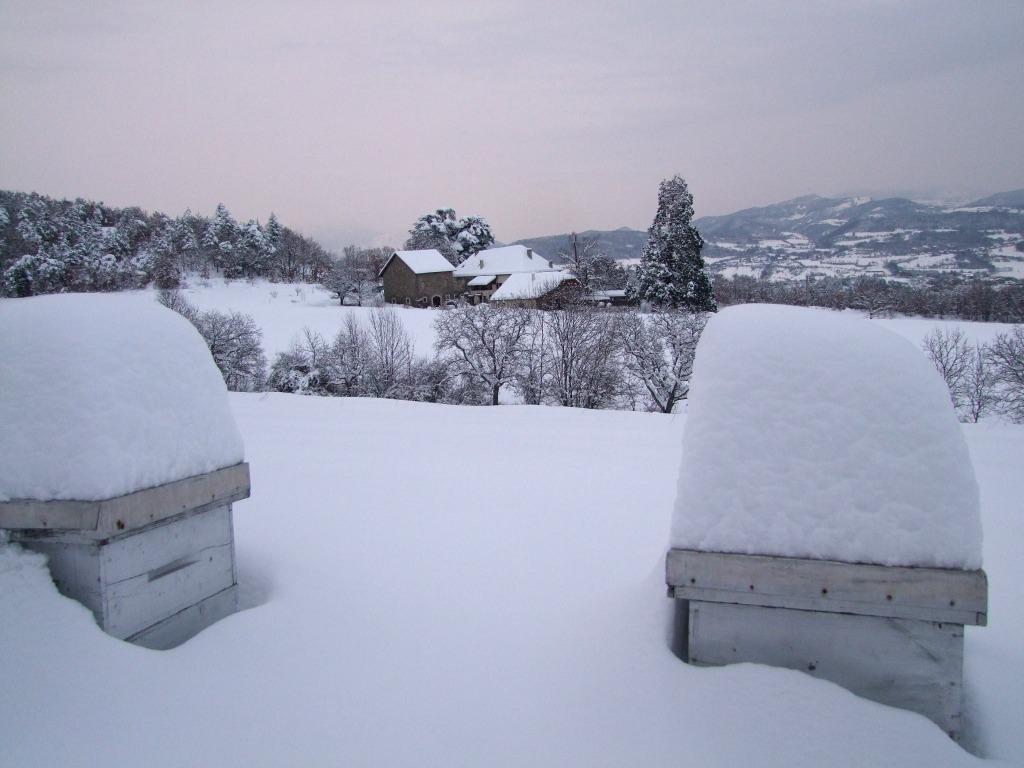 Logement GreenGo: Grand + petit gîtes montagnards, avec sauna tonneau feu de bois et eau de source, Gap, Hautes-Alpes - Image 16