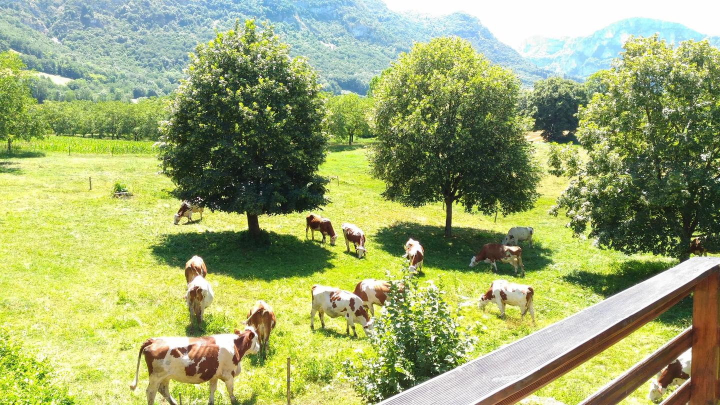 GreenGo Location Auvergne-Rhône-Alpes Évasion
