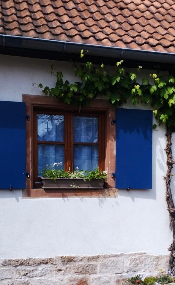 Hôte GreenGo: La maison aux volets bleus - Image 12