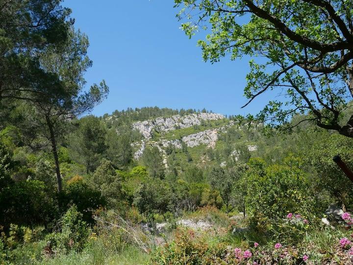 Logement GreenGo: Villa Provençale proche mer & calanques - Image 31