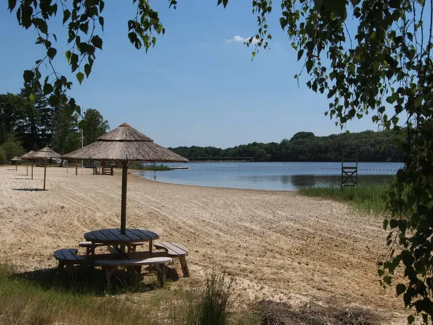 Carte cadeau GreenGo