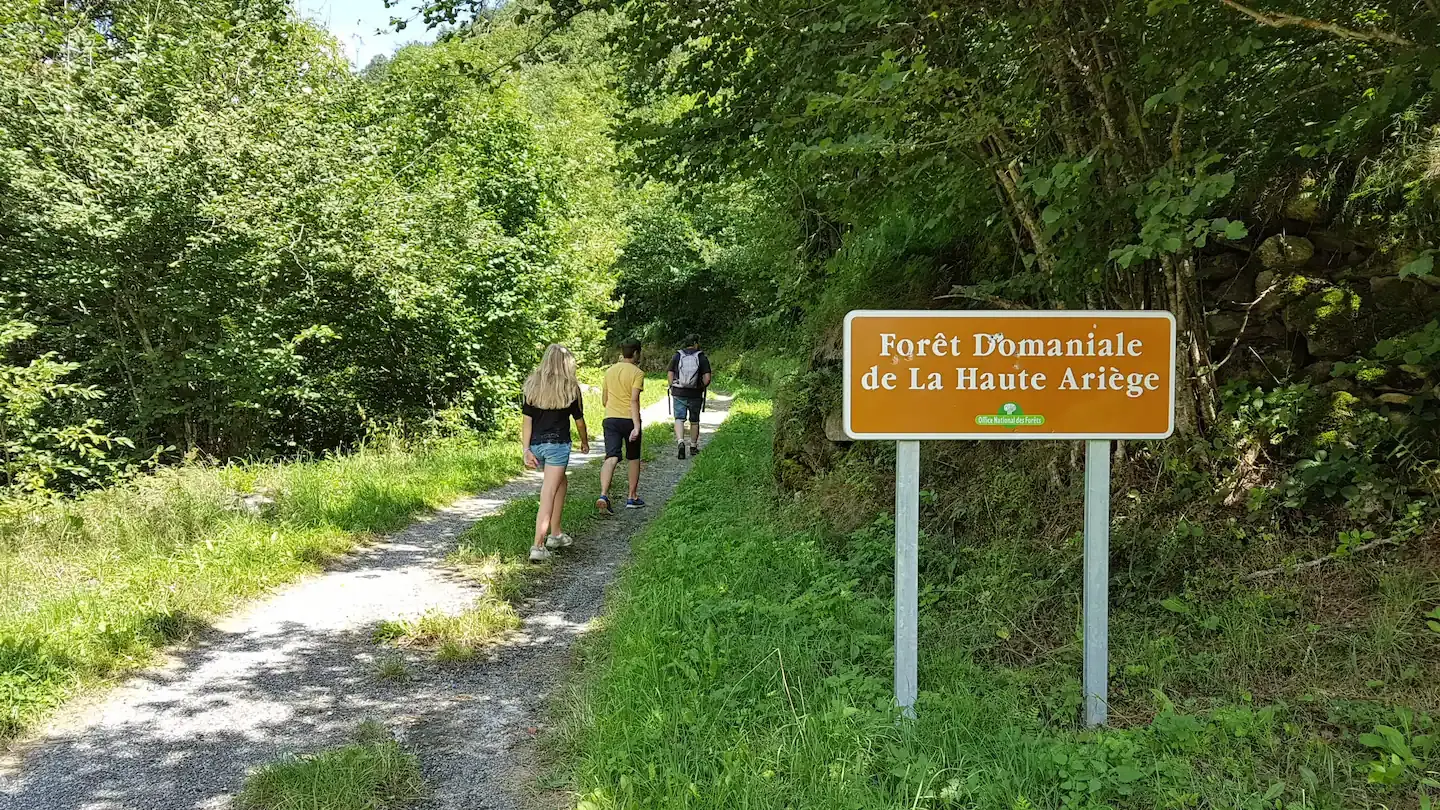 Hôte GreenGo: LA MAISON DE NEIGE meublé de tourisme en Haute Ariège - Image 9