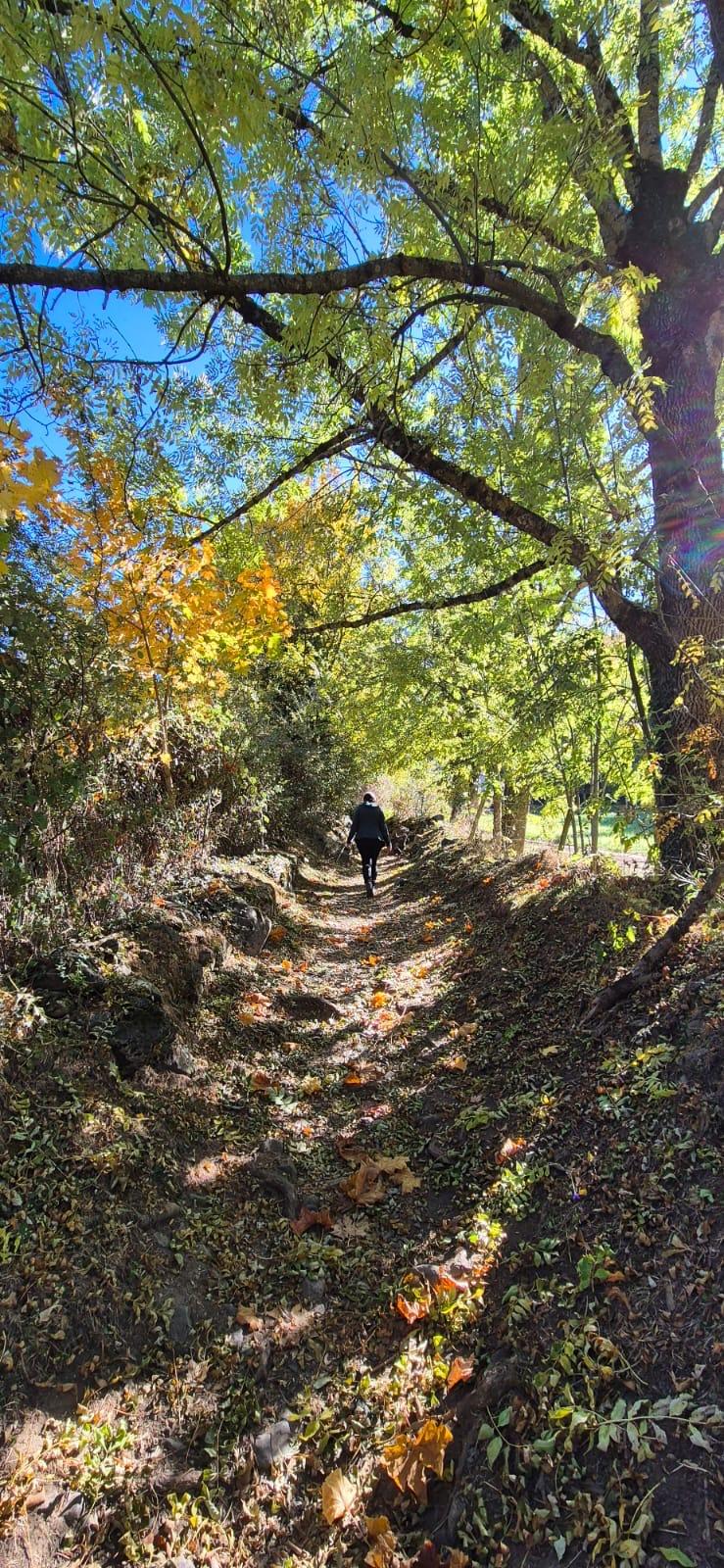 GreenGo Location Occitanie Évasion