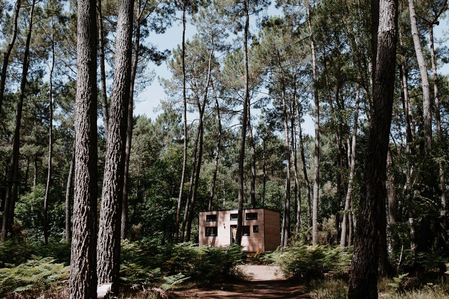 Logement GreenGo: Tiny house - La Quetsche - Image 35