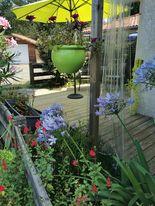 GreenGo location vacances écoresponsables