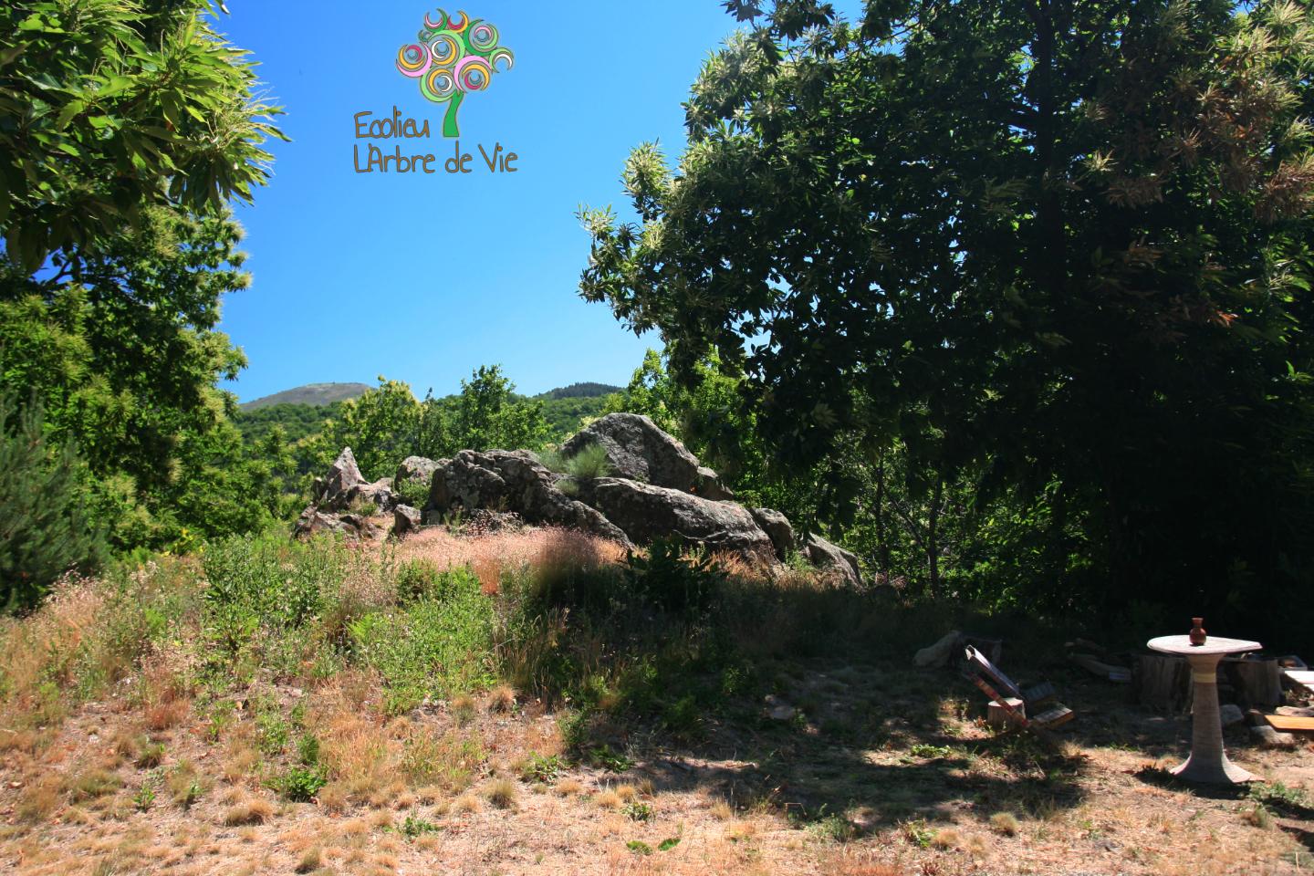 Logement GreenGo: Emplacement de camping en pleine nature d'un écolieu en montagne du Sud Ardèche - Image 9