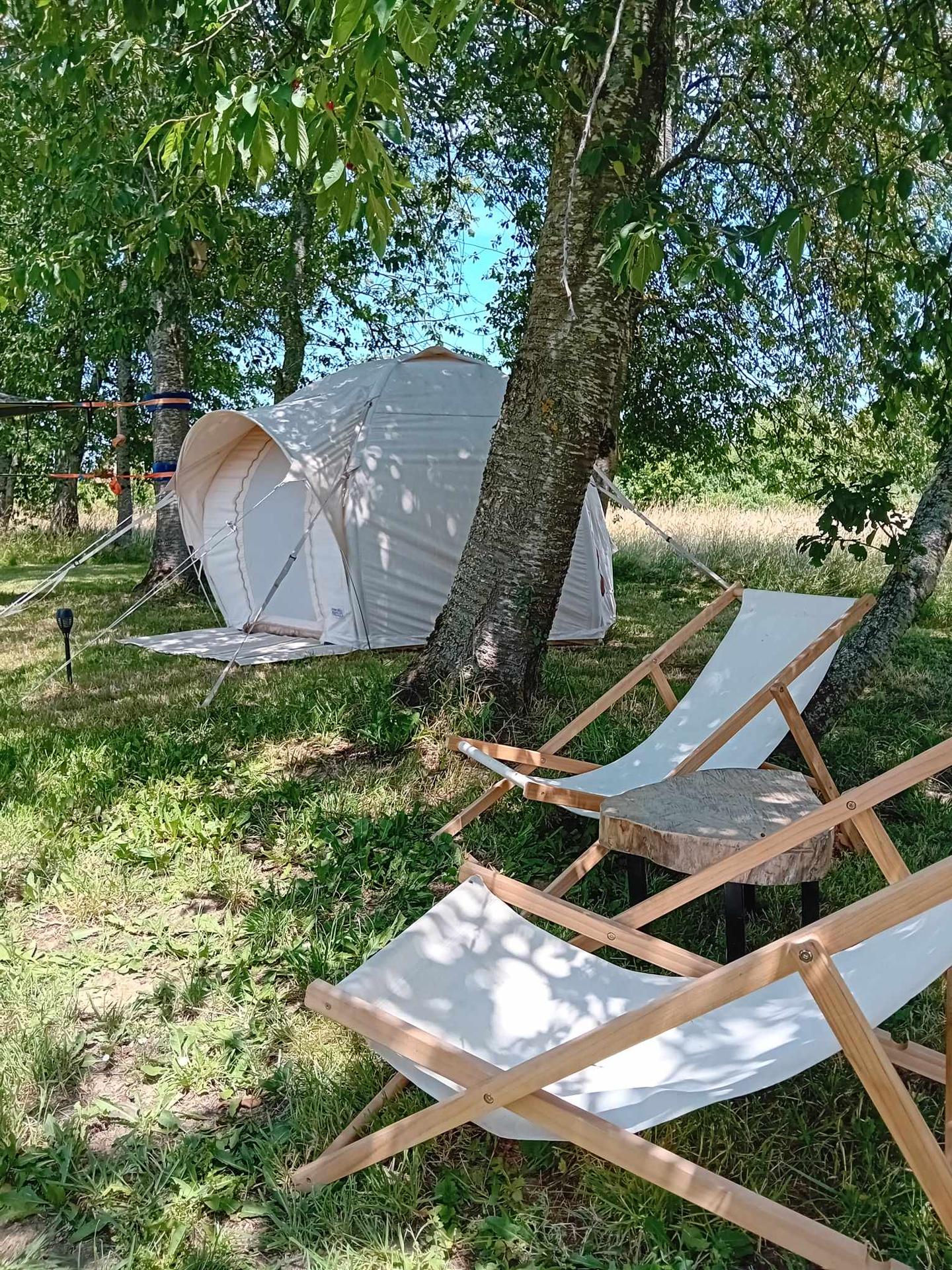 Logement GreenGo: Bus soleil avec une tente dans les arbres et une tente cocoon - Image 11