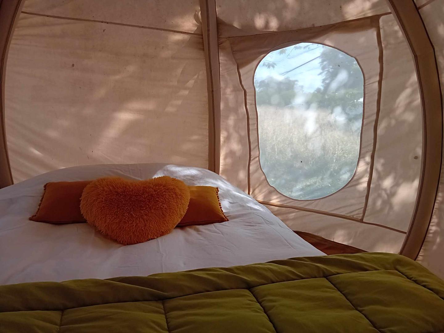 Logement GreenGo: Bus soleil avec une tente dans les arbres et une tente cocoon - Image 10