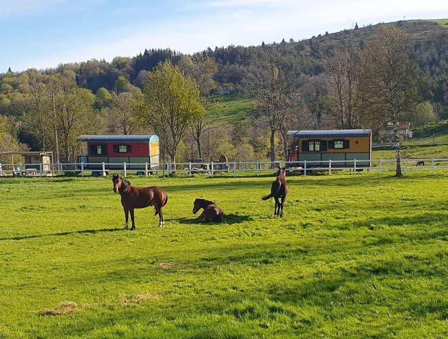 Logement GreenGo: Domaine (Gîte + 2 Roulottes) - Image 2