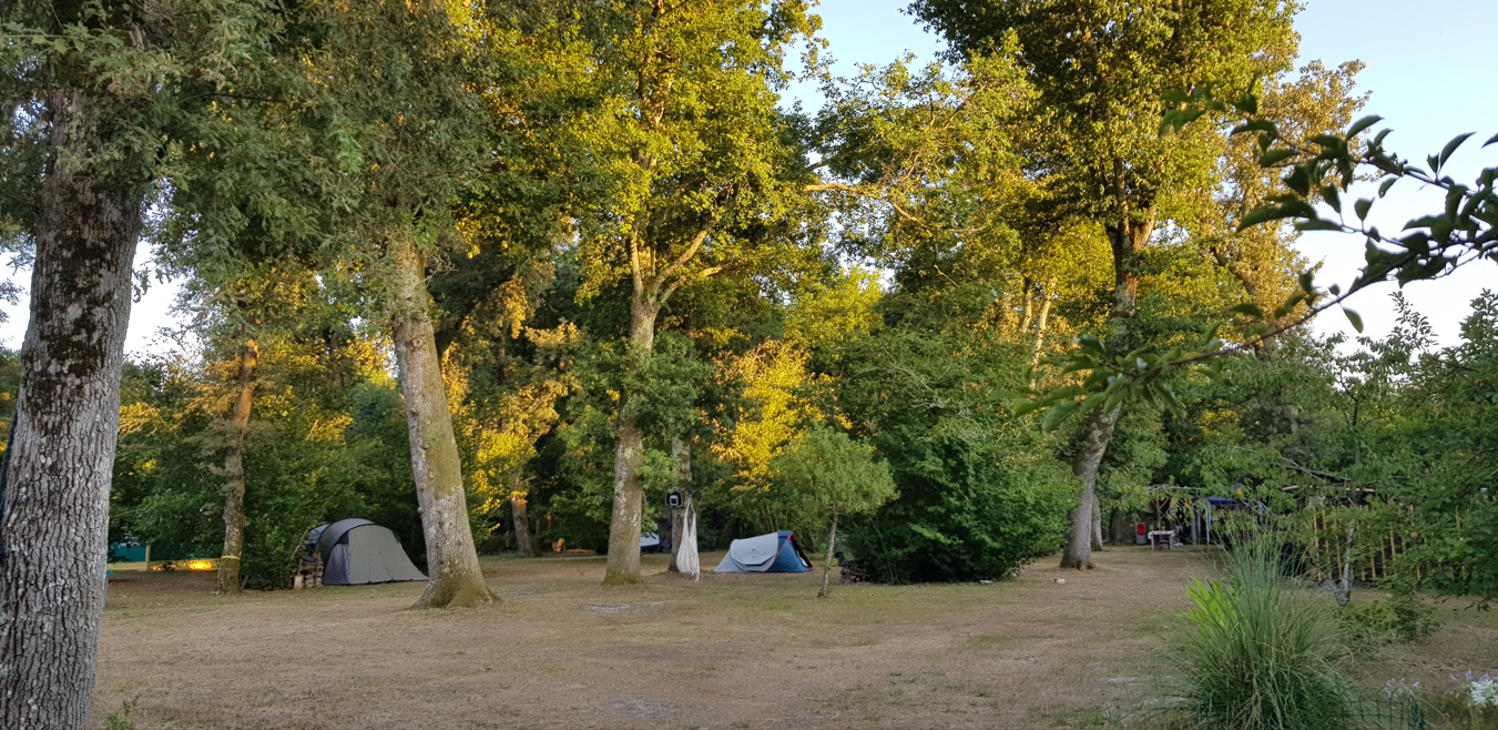 Logement GreenGo: Camping chez l'habitant déclaré - Image 5